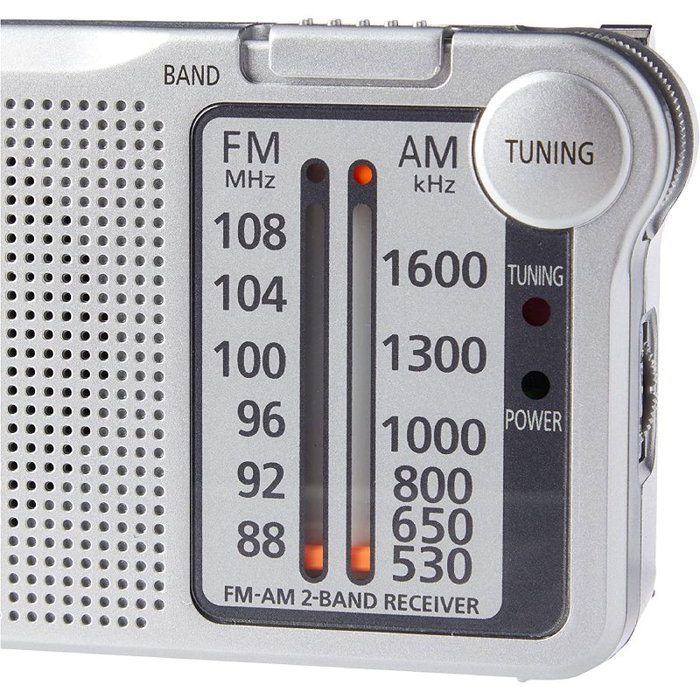 Panasonic RF-P150DEG-S Plata